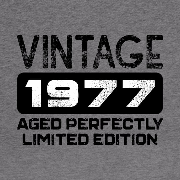 Birthday Gift Vintage 1977 Aged Perfectly by colorsplash